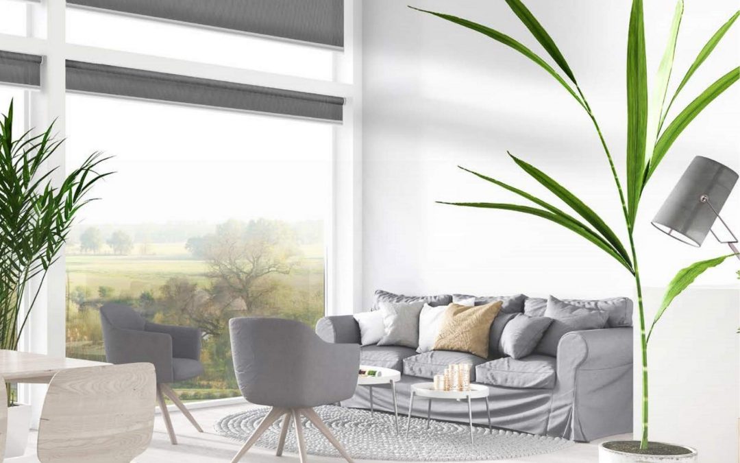 Curtain Trend Roller Blinds