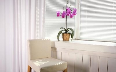Adding Curtains to Your Blinds at Home 400x250 - OUR BLOG