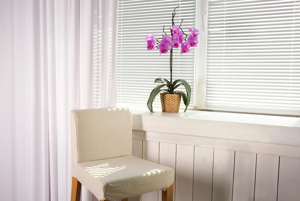 Adding Curtains to Your Blinds at Home